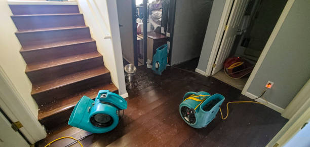 Best Sewage cleanup and water damage restoration  in , NY