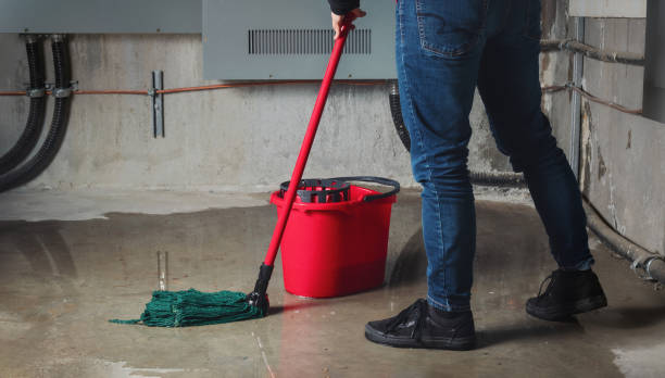 Best Sewage cleanup and water damage restoration  in , NY