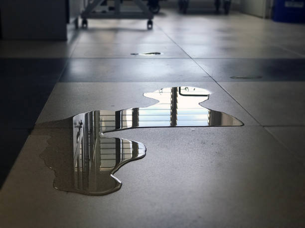 Best Local water damage restoration  in , NY