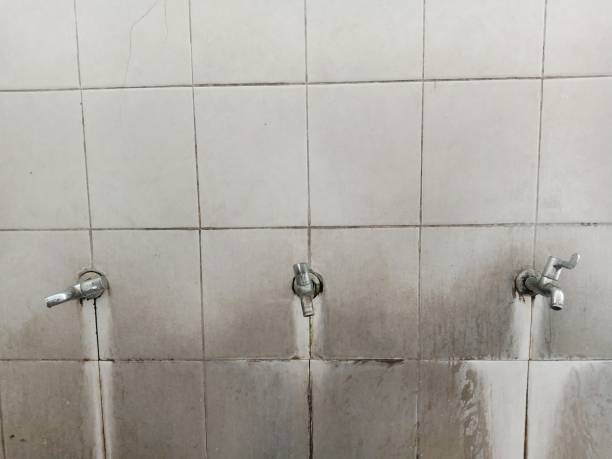 Best Flood restoration services  in , NY