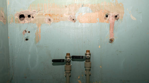  , NY Water damage restoration Pros