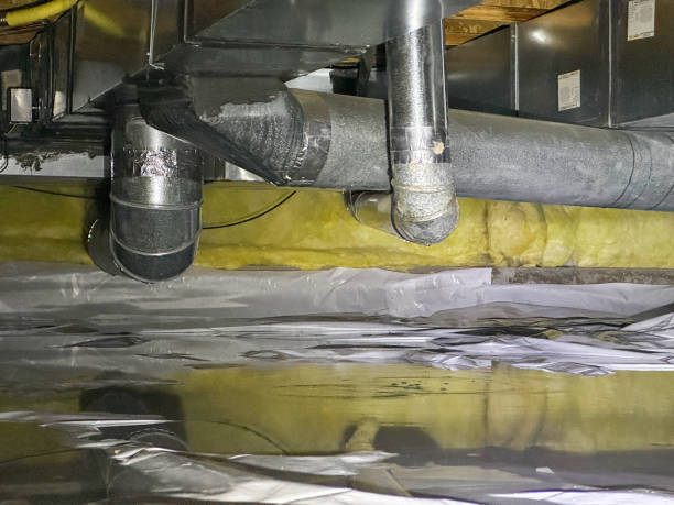 Best Water damage restoration mold remediation  in , NY