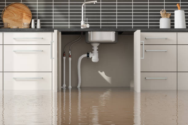 Best Water damage cleanup near me  in , NY