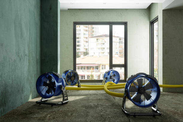 Best Water damage contractors near me  in , NY